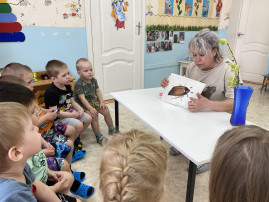 майский жук майский жук.