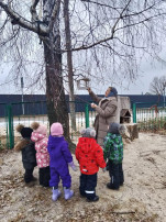 кормление птиц кормление птиц.
