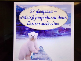 день медведя день медведя.