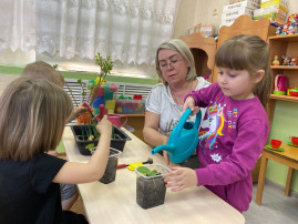 опытное эксперементирование опытное эксперементирование.