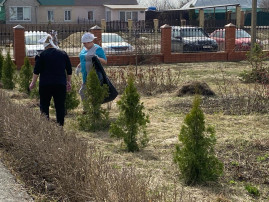 дорога к храму дорога к храму.