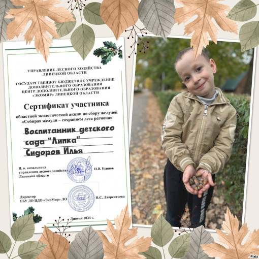 наши достижения наши достижения.