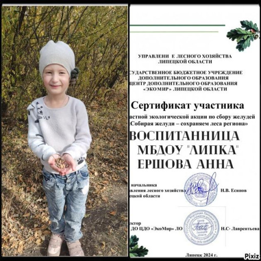 наши достижения наши достижения.